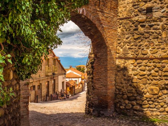 【プライベートツアー】ジョージアワインの産地・カヘティ地方 ワイナリー巡り＜車＋ガイド貸切／昼食付／トビリシ発＞
