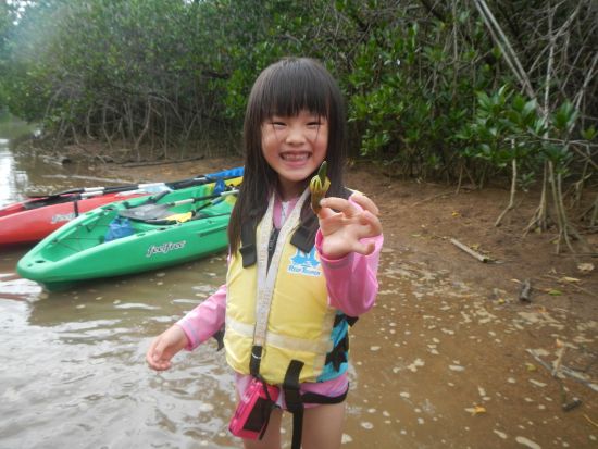 貸切マングローブカヤックツアー　1組限定！完全プライべートツアーでマングローブ林も探検！1名様や0歳からも参加OK＜島内ホテル送迎選択可＞By ニコラスツアーズ