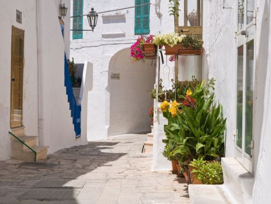 【プライベートツアー】ナポリから行く！アルベロベッロ＆オストゥーニ1日観光＜車貸切／日本語ガイドありorなし／ナポリ発＞ by Zenzero