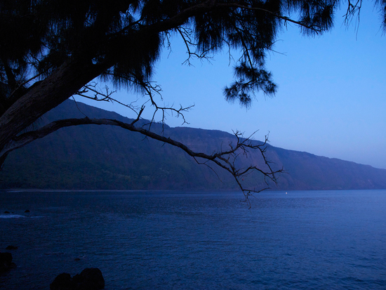 colleenmorgan_flickr