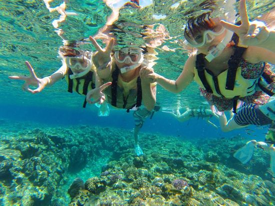 水納島体験ダイビング＋シュノーケリング　透明度抜群の水納島で人気のアクティビティをセットで体験！＜ボート／1ダイブ／半日または1日／本部町発＞