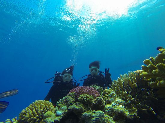 水納島体験ダイビング＋シュノーケリング　透明度抜群の水納島で人気のアクティビティをセットで体験！＜ボート／1ダイブ／半日または1日／本部町発＞