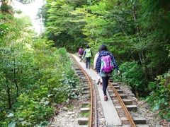 霑ス蜉繝輔z繝ゥ繝ウ逕ィ縺ョ蜀咏悄・托シ医ヵ繧ゥ繝ャ繧ケ繝医え繧ゥ繝シ繧ッ螻倶ケ・ウカ・噂縺ィ繧阪▲縺