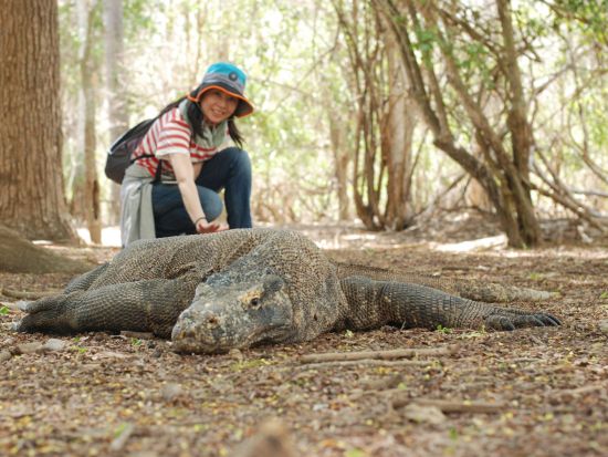 コモド島日帰り観光ツアー　巨大コモド・ドラゴン＆珍しいピンクビーチ シュノーケリング＜南部エリア送迎付／航空券込／日本語ガイド／インドネシアランチ付／バリ島発＞