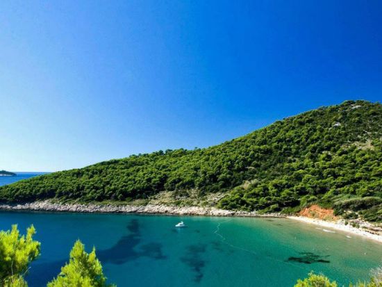 エラフィテ諸島クルーズ コロチェプ島+シパン島+ロプト島 1日観光ツアー＜4～10月／昼食付／英語／ドブロヴニク発＞