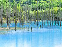 富良野ツアー3