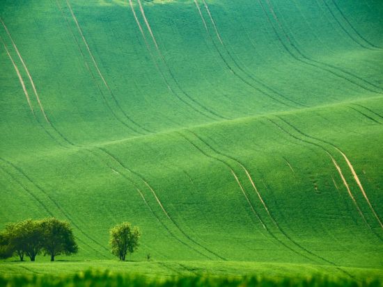【プライベートツアー】ウィーン発プラハ着　モラヴィア大草原＆巡礼地ミクロフを訪ねる癒しの日帰り旅＜4月～10月／英語＞