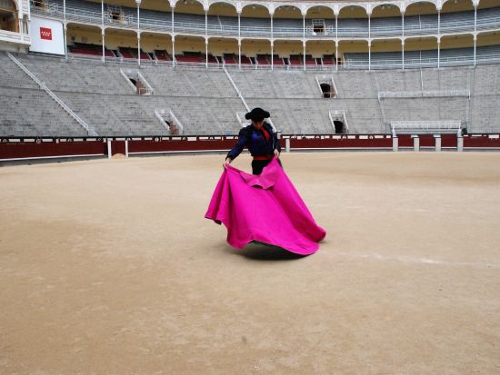 ラス・ベンタス闘牛場 見学ツアー＜混載or貸切／午前or午後／日本語or英語／マドリード発＞