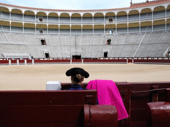 ラス・ベンタス闘牛場 見学ツアー＜混載or貸切／午前or午後／日本語or英語／マドリード発＞
