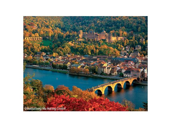 世界遺産ライン渓谷とハイデルベルク1日観光ツアー ＜車＋ガイド貸切／日本語／フランクフルト発＞