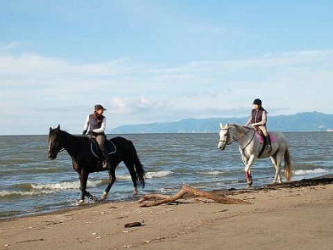 石狩 海辺の乗馬体験　ビーチ沿いを馬に乗り歩く感動体験！フロンテア乗馬クラブでのレッスン＆日本海砂浜ホースライド＜4～11月／送迎付／札幌発＞