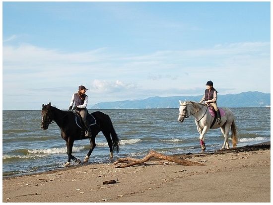 石狩 海辺の乗馬体験　ビーチ沿いを馬に乗り歩く感動体験！フロンテア乗馬クラブでのレッスン＆日本海砂浜ホースライド＜4～11月／送迎付／札幌発＞