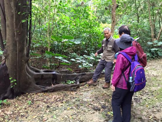 ネイチャーツアー　うぷきの森で季節の動植物に出会う探検！＜朝・午前／宮古島＞