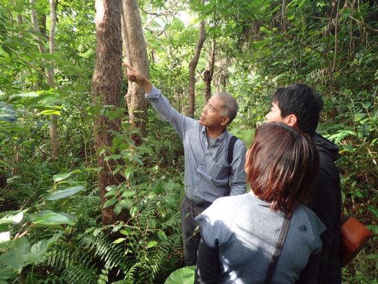 ネイチャーツアー　うぷきの森で季節の動植物に出会う探検！＜朝・午前／宮古島＞