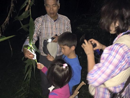 ネイチャーナイトツアー　夜のうぷきの森で季節の動植物に出会う探検！＜18:00または19:00／宮古島＞