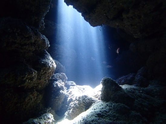 ファンダイビング　マンタ・カメラ派・地形派などリクエストにお応えする少人数グループ制！＜ボート／1～3ダイブ／石垣島＞