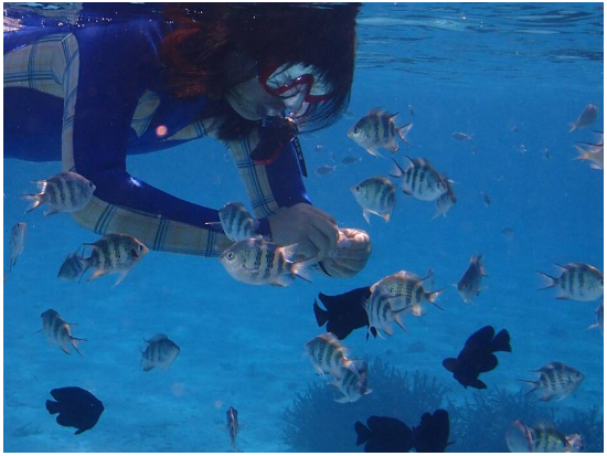 ボートチャーター 完全貸切クルージングでプライベートツアー＜市街地ホテル送迎可／石垣島発＞