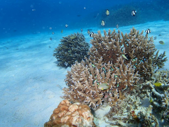 2016-05-11_113451-crop