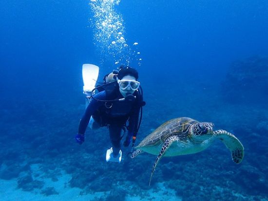 体験ダイビング 憧れのウミガメに会いたい！様々な魚たちが泳ぐ豊かな屋久島の海を覗いてみよう！3つのダイビング体験コースから選択　by 屋久島自然案内