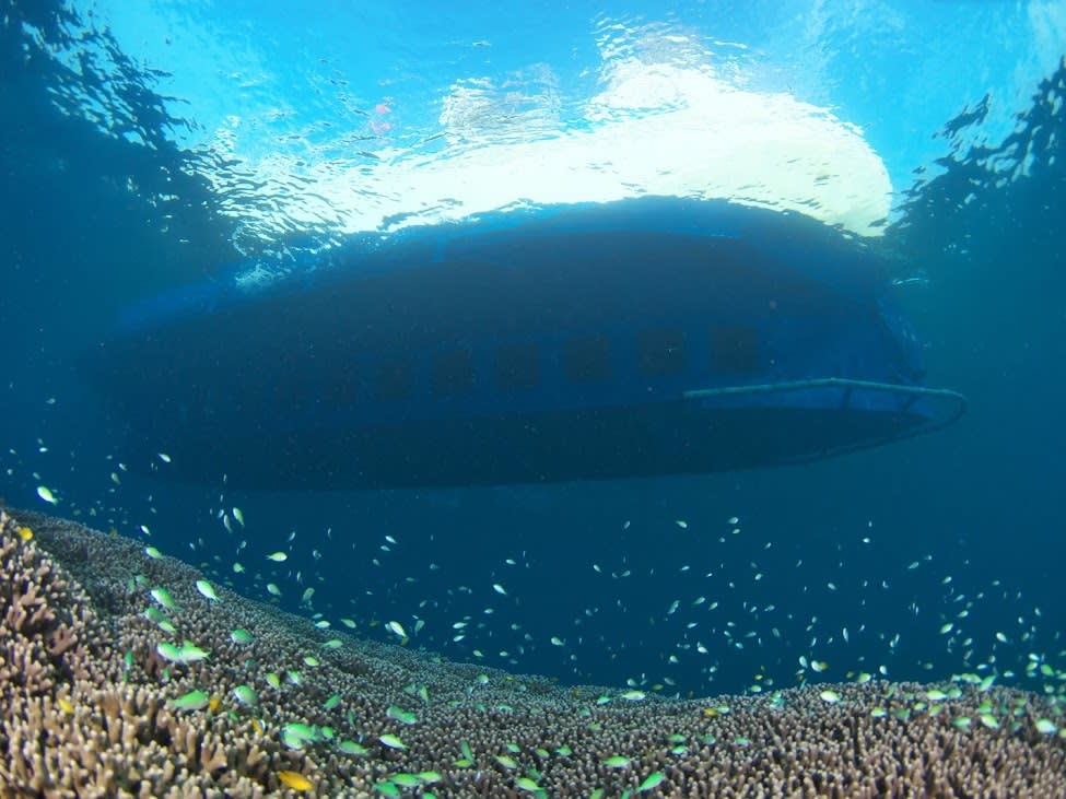 海中展望船「サブマリンJr.Ⅱ」半潜水艦型グラスボートで動く水族館へ 