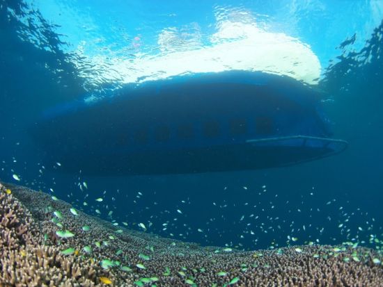 海中展望船「サブマリンJr.Ⅱ」半潜水艦型グラスボートで動く水族館へ！＜0～2歳無料／ANAインターコンチネンタル万座ビーチリゾート＞