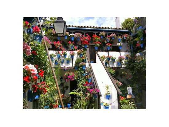 アンダルシア　1日観光ツアー　コルドバ市内観光＆白い村バエナ＆サンニコラス展望台 ＜貸切／コルドバ発グラナダ着 ＞