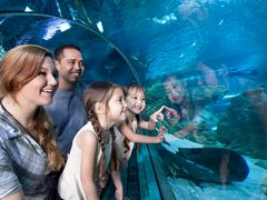 Ocean_Safari_1