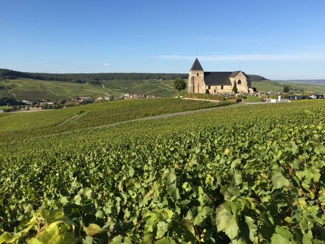 20160513065048_1042094219_1079