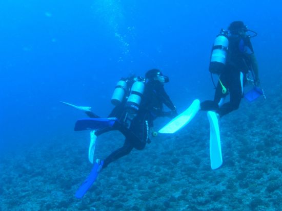 体験ダイビング 色鮮やかなサンゴ礁が広がる万座ビーチでダイビング －eランニングで事前学習－＜1ダイブ／13～64歳／約90分／グリーンフィンズ認定店／恩納村＞