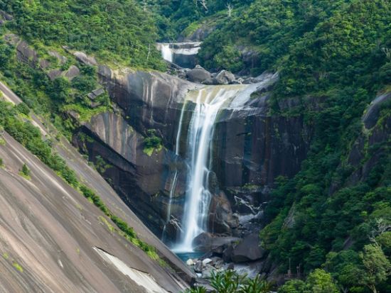 屋久島周遊 1日観光バスツアー 「やくざる号」でレンタカーよりお得にぐるり島巡り とびうお料理の昼食付き 1名参加可能 by  屋久島ツアーオペレーションズ