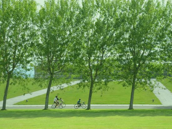 【ロードバイク／サイクリング】 モエレ沼公園アートめぐりコース15Km 公道を走らないので初心者も安心＜初心者向け／半日／市内送迎有／札幌市＞by SAN