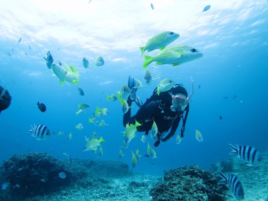 北谷発慶良間ファンダイビング 初心者や1名様大歓迎！圧倒的透明度の"ケラマブルー"を海中散歩＜2～5ダイブ／北谷エリア送迎無料＞by オーシャンビーチちゃたん