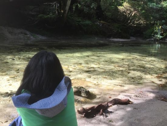 【貸切】黒味岳トレッキングツアー 山頂から見る360度のパノラマ絶景を堪能！レンタル装備5点セット付きプランあり　by 屋久島ガイドツアー