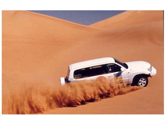 【混載】朝から楽しむデザートサファリ　砂丘ドライブ＋アクティビティ（ラクダ乗り等）＜朝発／往復送迎付／ドバイ発＞