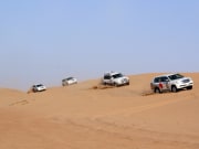UAE Desert Safari 4WD Camel BBQ Dinner Sand Dunes