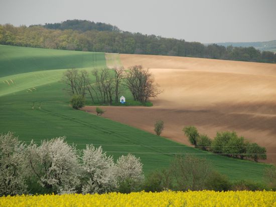【プライベートツアー】ウィーン発プラハ着　モラヴィア大草原＆巡礼地ミクロフを訪ねる癒しの日帰り旅＜4月～10月／英語＞