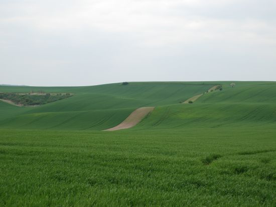 【プライベートツアー】プラハ発　モラヴィア大草原＆巡礼地ミクロフ 日帰り観光ツアー＜4月～10月／英語／プラハ着またはウィーン着＞