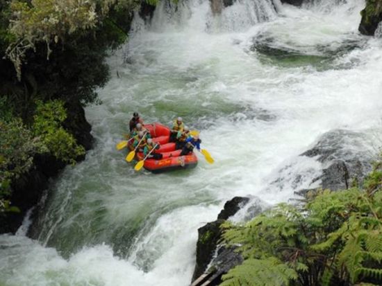 ロトルア ラフティング体験　初心者から上級者まで楽しめる！グレード2～5の全4種のエキサイティングな川下りを満喫＜英語／ロトルア発＞