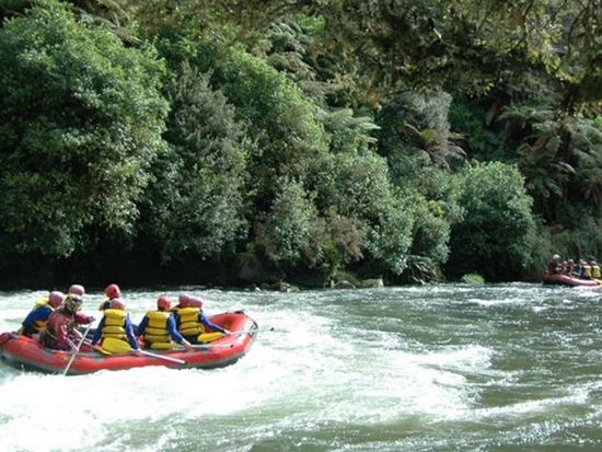 RANGITAIKI Grade 3-4 02