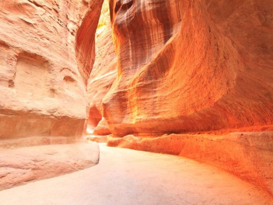 ヨルダンの2大世界遺産を日帰りで巡る！ ペトラ遺跡＆ワディラム観光ツアー＜貸切／英語／アンマン発／ランチ付きorラクダ乗り体験付きプランあり＞