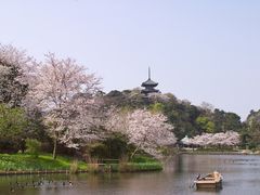 Sankeien Garden