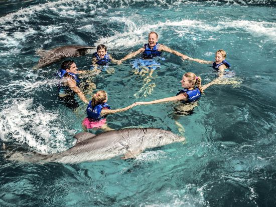 大自然のテーマパーク「シェルハ海洋公園」 イルカと触れ合い体験　シュノーケリング体験付きプランあり＜食べ飲み放題／英語ドライバー／カンクン発＞