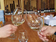 USA_San Francisco_Extranomical Tours_Wine Country