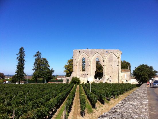 ボルドー　サン・テミリオン地区＆メドック地区　2つのシャトーを巡るツアー＜試飲付／日本語ガイド／ボルドー発着＞