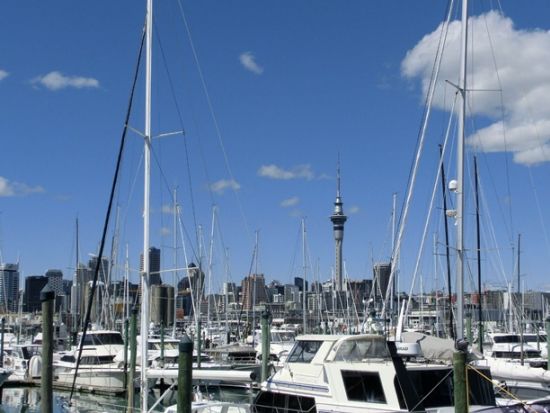 オークランド半日観光 オークランドの見どころを効率よく巡る半日ツアー！＜日本語ガイド／午前・午後／オークランド発＞