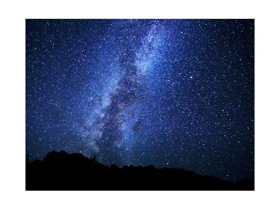 【3月下旬～9月末 月金土 限定】星空観測＆夜の森探索ナイトツアー　ニュートン式反射望遠鏡で観察！光るキノコや夜行性小生物観察も！ by キャノッピ屋久島