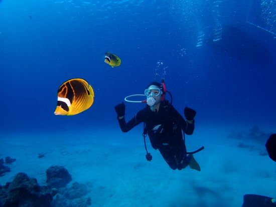 慶良間（チービシ）体験ダイビング＋シュノーケリング　島人ガイドがケラマブルーの海へご案内　高画質の水中写真無料＜半日／1ダイブ／那覇市内送迎無料＞