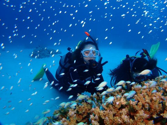 慶良間体験ダイビング＋シュノーケリング　2名までの少人数制でケラマブルーが美しい3ポイントへ　高画質の水中写真無料＜1日／1～2ダイブ／那覇市内送迎無料＞