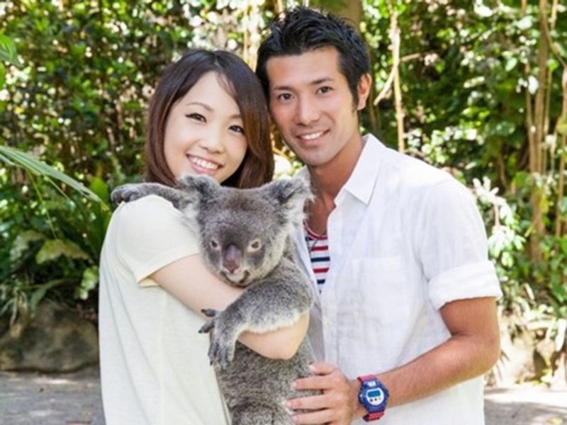 クロコダイル２