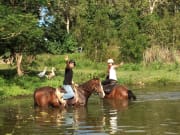 travelers riding a horse in the lake
